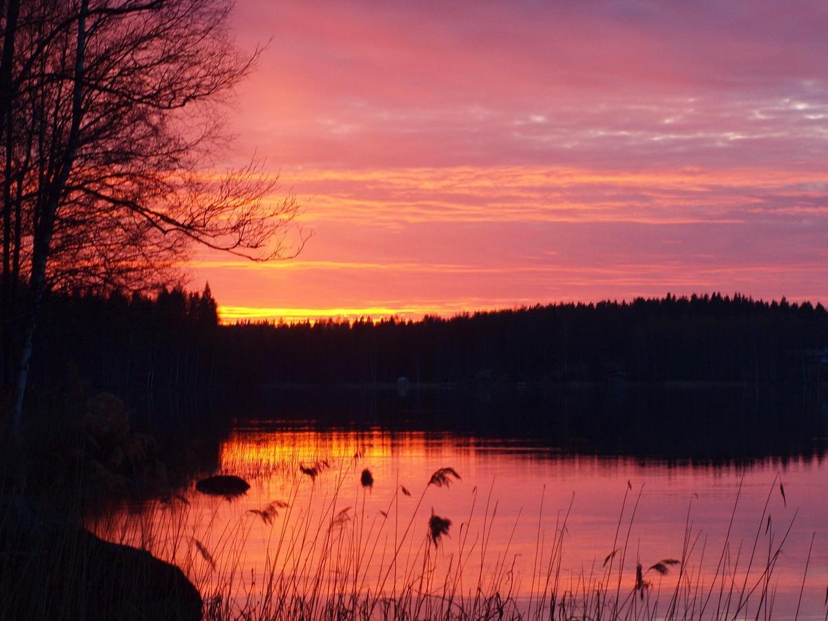 Resort Hotel Norppa Savonlinna Dış mekan fotoğraf